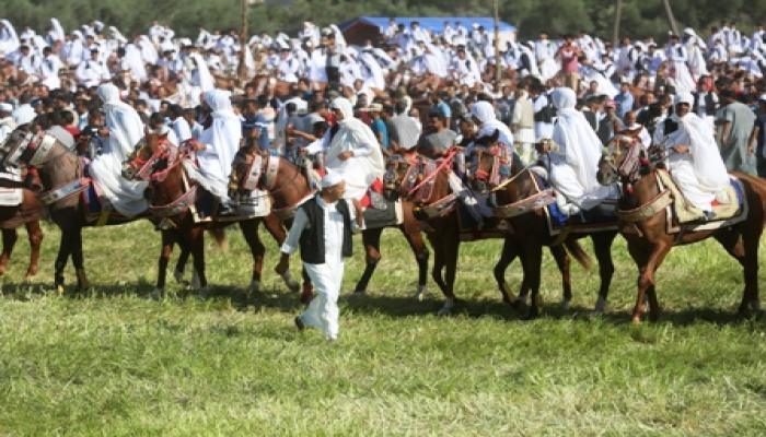 مهرجان الفروسية الشعبية بسيدي السايح 