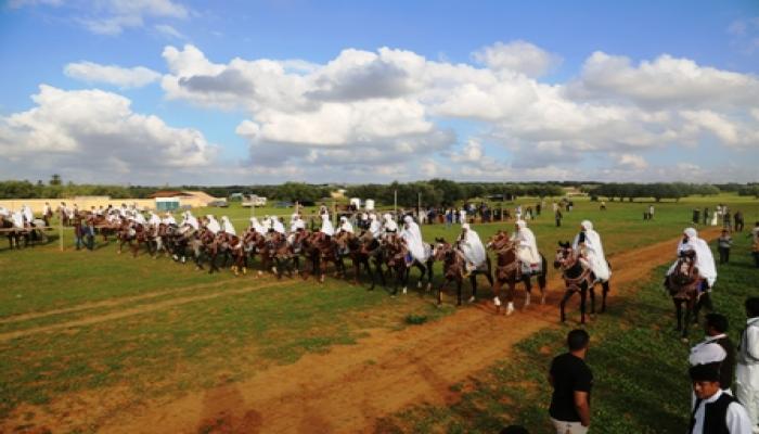 مهرجان السلام من اجل ليبيا للفروسية بقصر الاخيار قماطة 