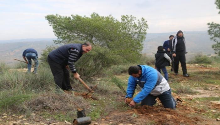 مؤسسات ومنظمات وجمعيات المجتمع المدني تنظم حملة تشجير بمحمية مسلاته بماسبة يوم الشجرة 1-يناير 