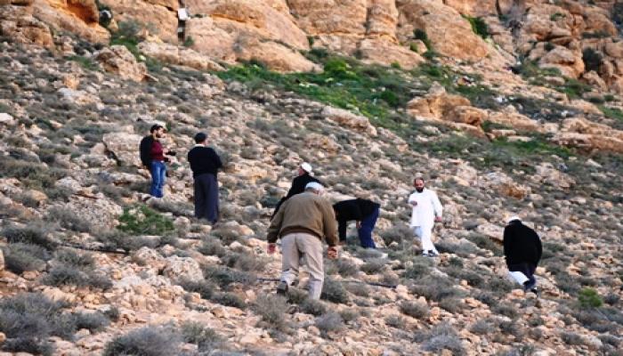 زيارة خبراءوزارة الزراعة وجمعية اصدقاء الشجرة لاشجار شليوني  مدينة طمزين 