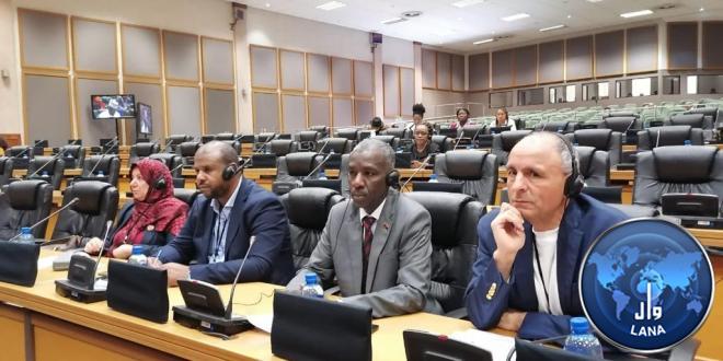 A delegation from the House of Representatives participates in a capacity-building workshop on governance and management of labor migration in South Africa.