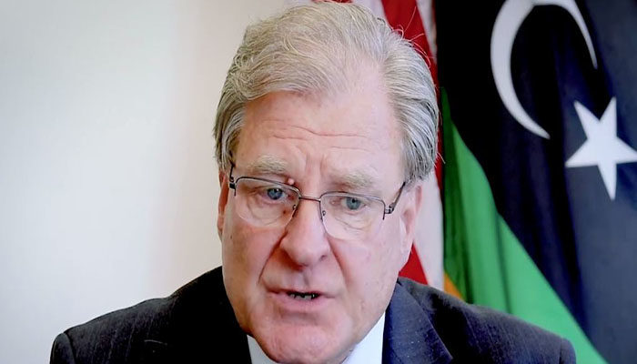 Norland: It is possible to hold elections in Libya this year.