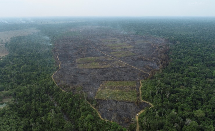 البرازيل تكشف عن خطتها لوقف إزالة غابات الأمازون بحلول عام 2030. 