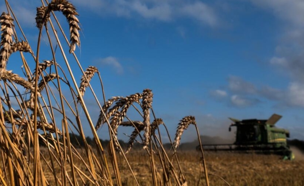 المفوضية الأوروبية  تقترح زيادة الرسوم الجمركية على منتجات الحبوب الروسية والبيلاروسية‎.