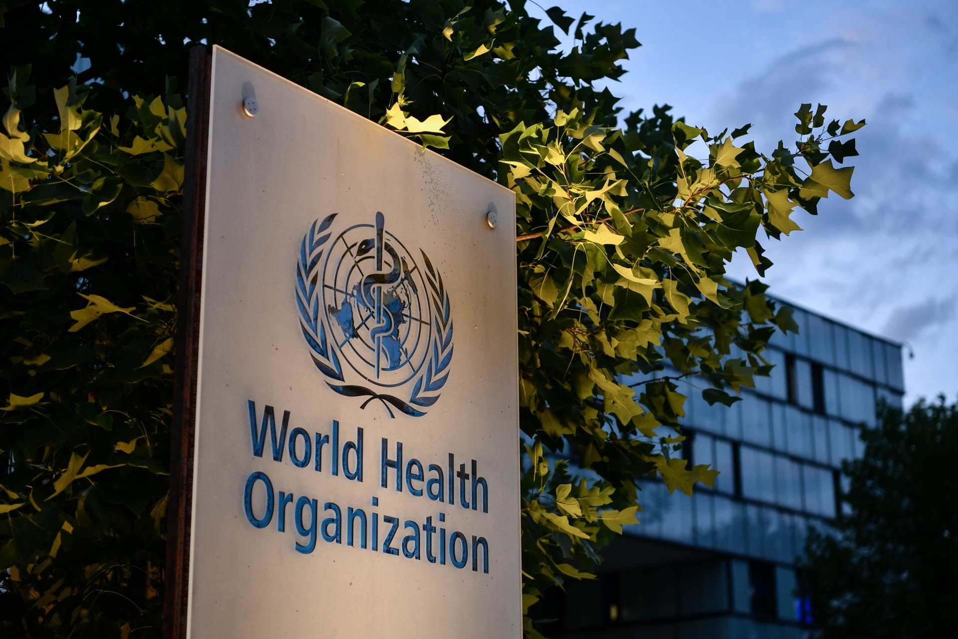  منظمة الصحة العالمية تؤكد أن الصحة حق من حقوق الإنسان وتطالب باتخاذ إجراءات للحد من أوجه انعدام العدالة في الصحة