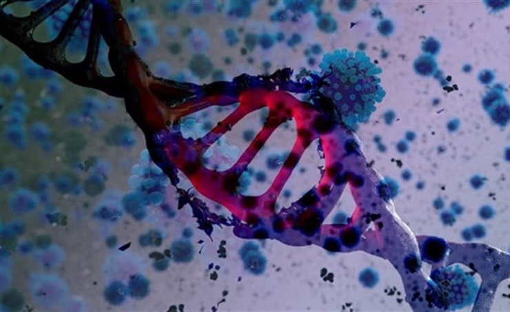 علماء يحددون متغير جيني يقلل من خطر الزهايمر. 