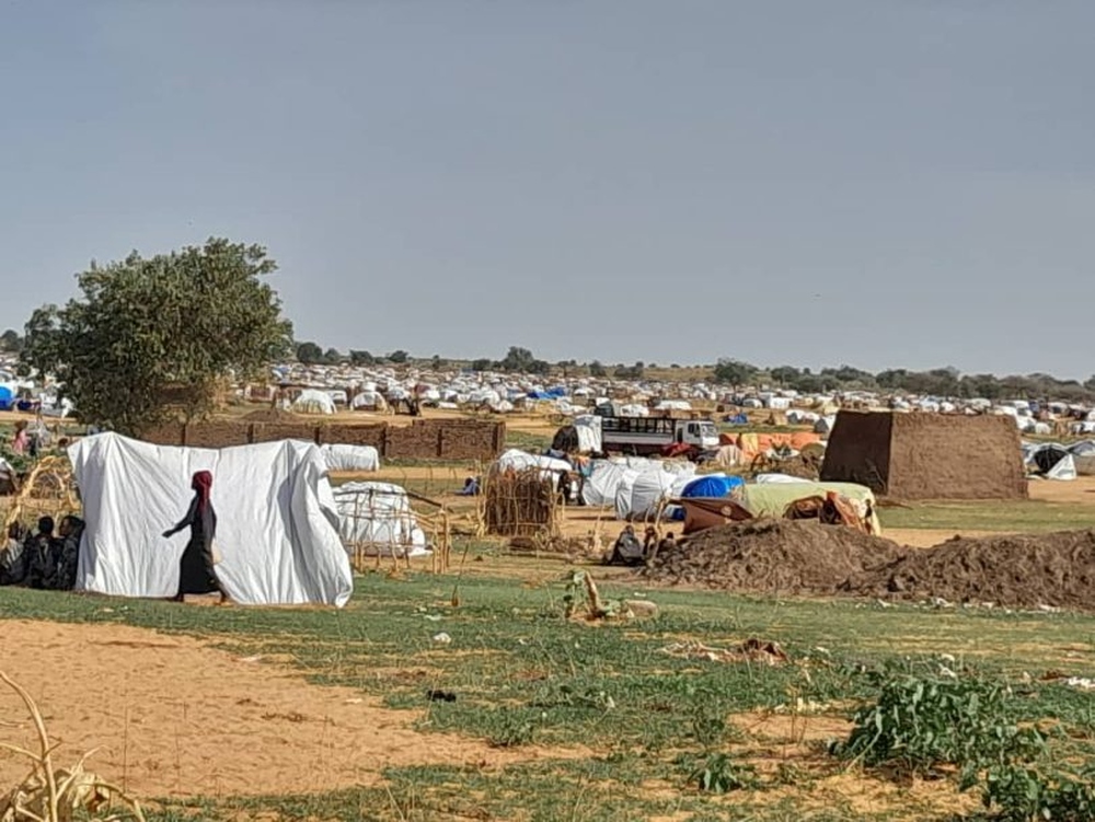 منظمة الفاو : خطر المجاعة يحوم على السودان ونقص حاد في التمويل.