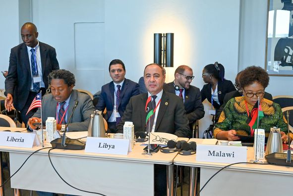 Al-Baaour participates in a meeting of African and European foreign ministers.