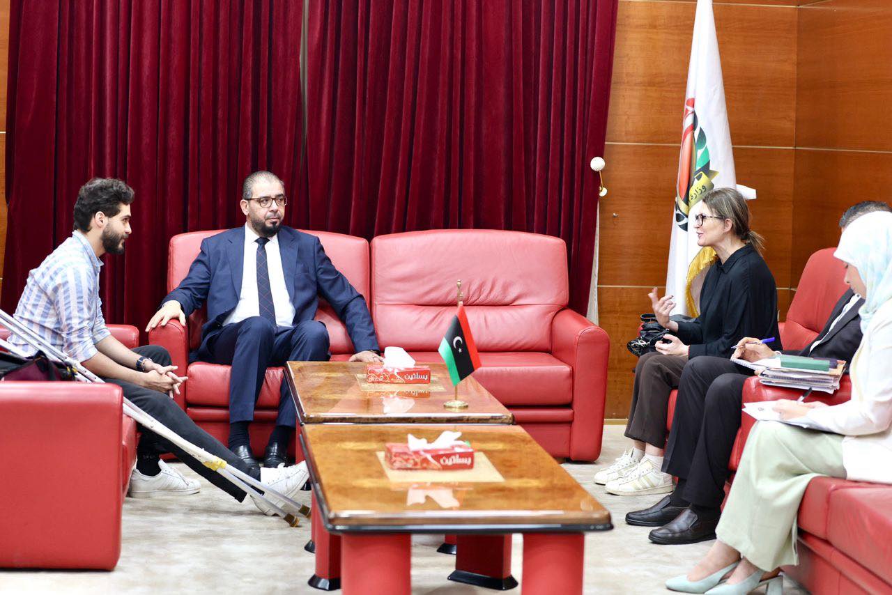 Ministry of Health discusses cooperation with the Italian TDH organization.