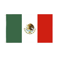 100 مليون ناخب في المكسيك يختارون أول رئيسة في تاريخ البلاد .