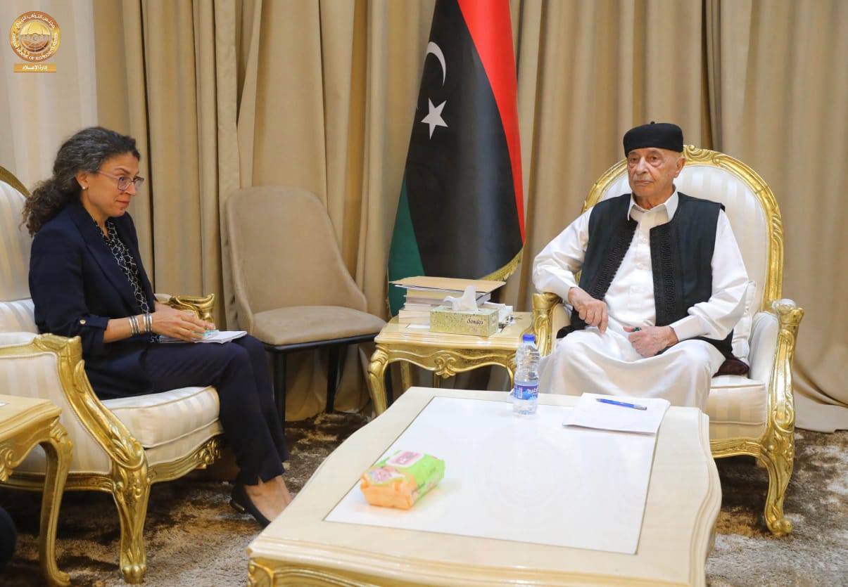 رئيس مجلس النواب و القائمة بأعمال رئيس بعثة الأمم المتحدة للدعم في ليبيا يناقشان سُبل إنهاء الأزمة الراهنة في البلاد.