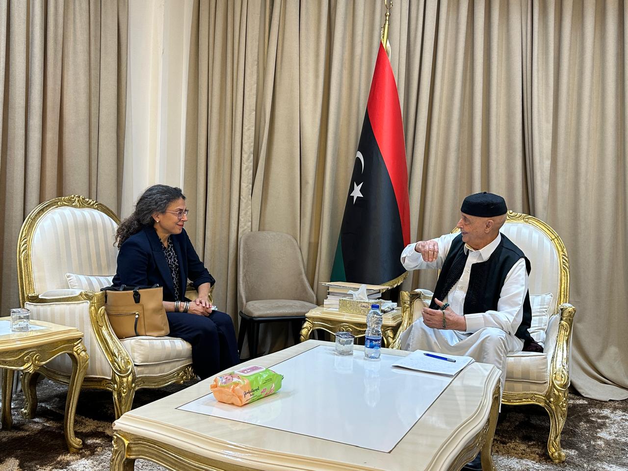 ستيفاني خوري : اجراء الانتخابات سيلبي تطلعات الليبيين في اختيار قيادتهم وتجديد شرعية مؤسساتهم.