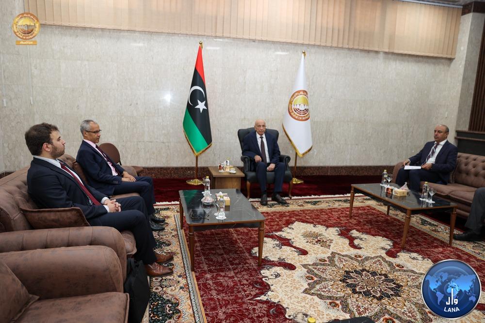 The Speaker of the House of Representatives meets the French Ambassador to Libya.