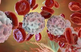 علماء يكتشفون استراتيجية جديدة لعلاج سرطانات الدم النادرة دون الإضرار بالمناعة.