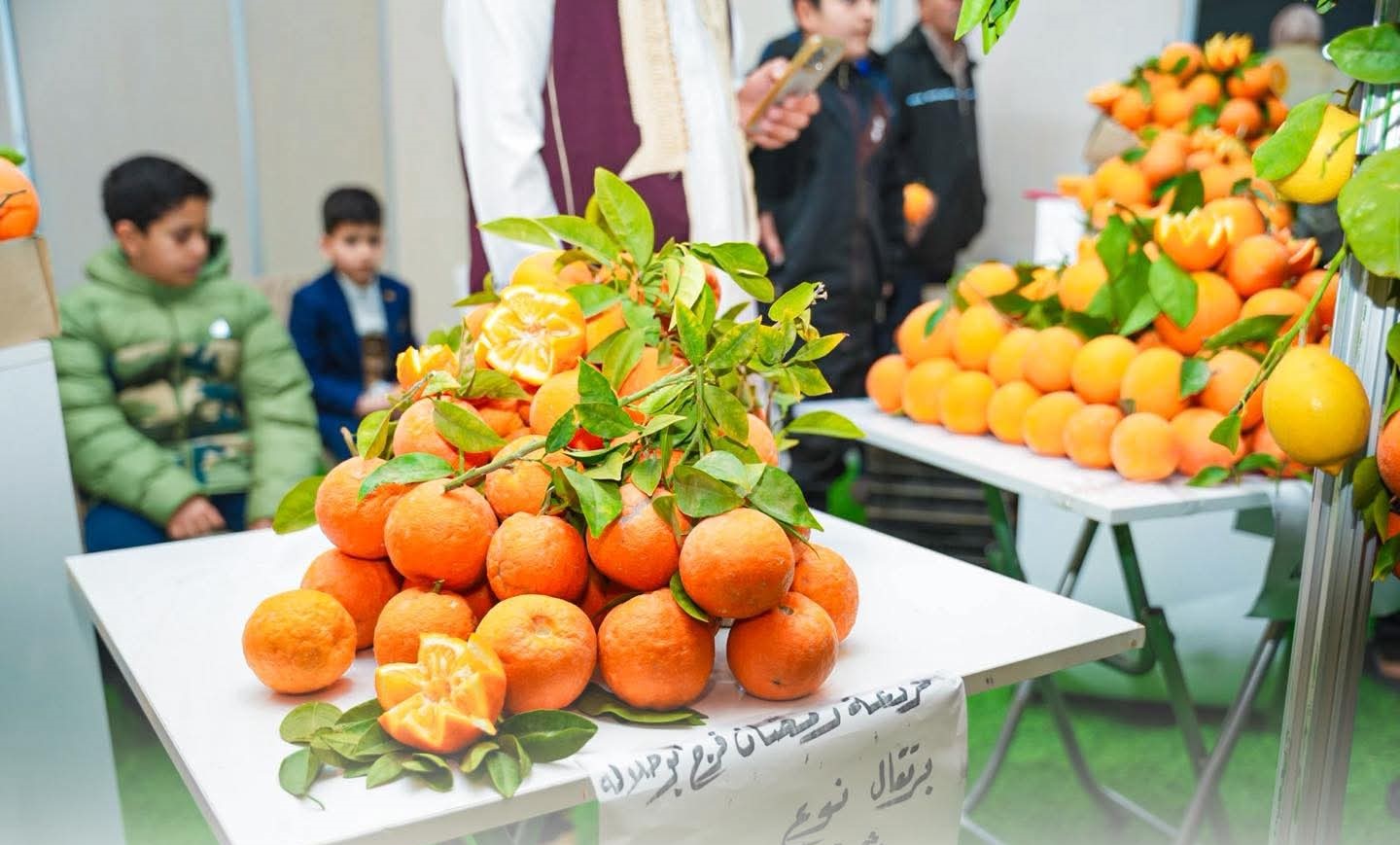 بلدية العامرية تفتتح المعرض الوطني للحمضيات