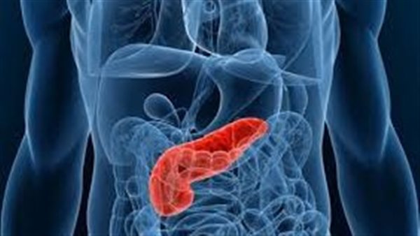 دراسة إسبانية تحقق تقدمًا واعدًا في علاج سرطان البنكرياس لكن دون تجارب بشرية حتى الآن