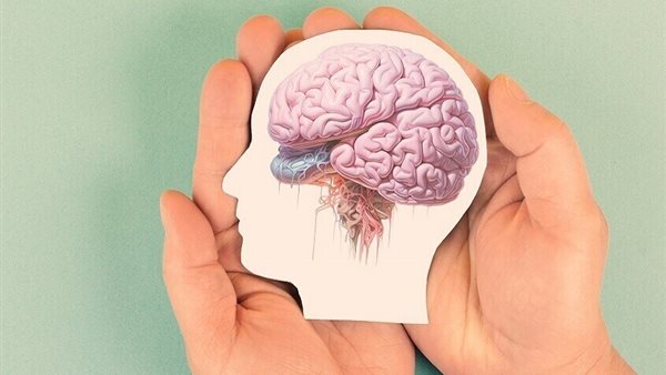 دراسة علمية تكشف آلية واعدة لاستعادة نشاط الخلايا الجذعية العصبية