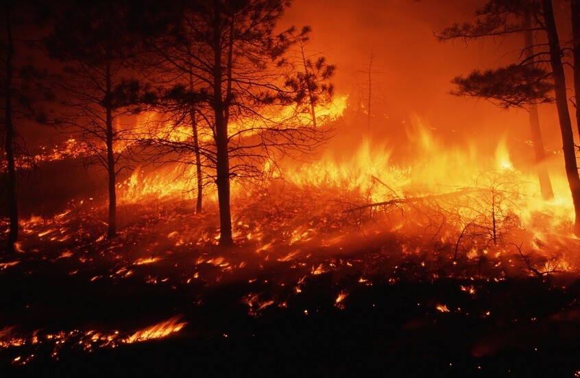 دراسة بيئية تحذر: الأيام المناخية الملائمة لحرائق الغابات تتضاعف عالمياً  