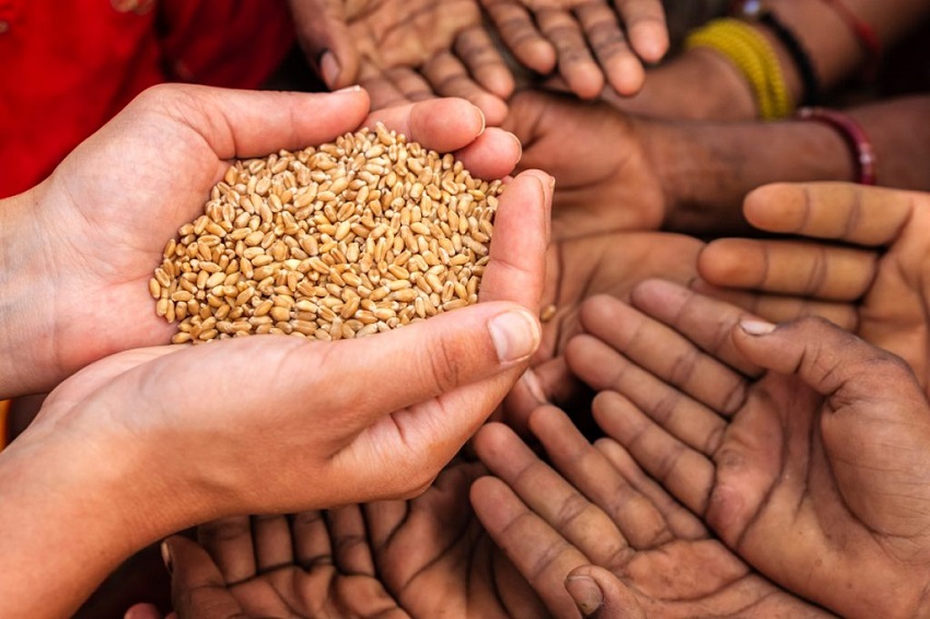 ارتفاع أسعار القمح عالمياً بفعل الطقس الجاف في الولايات المتحدة  ومخاوف تعطل صادرات روسيا وأوكرانيا