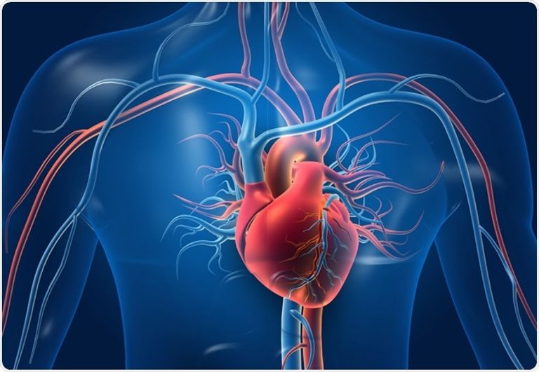 دراسة علمية تقر أول علاج عالمي لقصور القلب بالخلايا الجذعية المحفزة