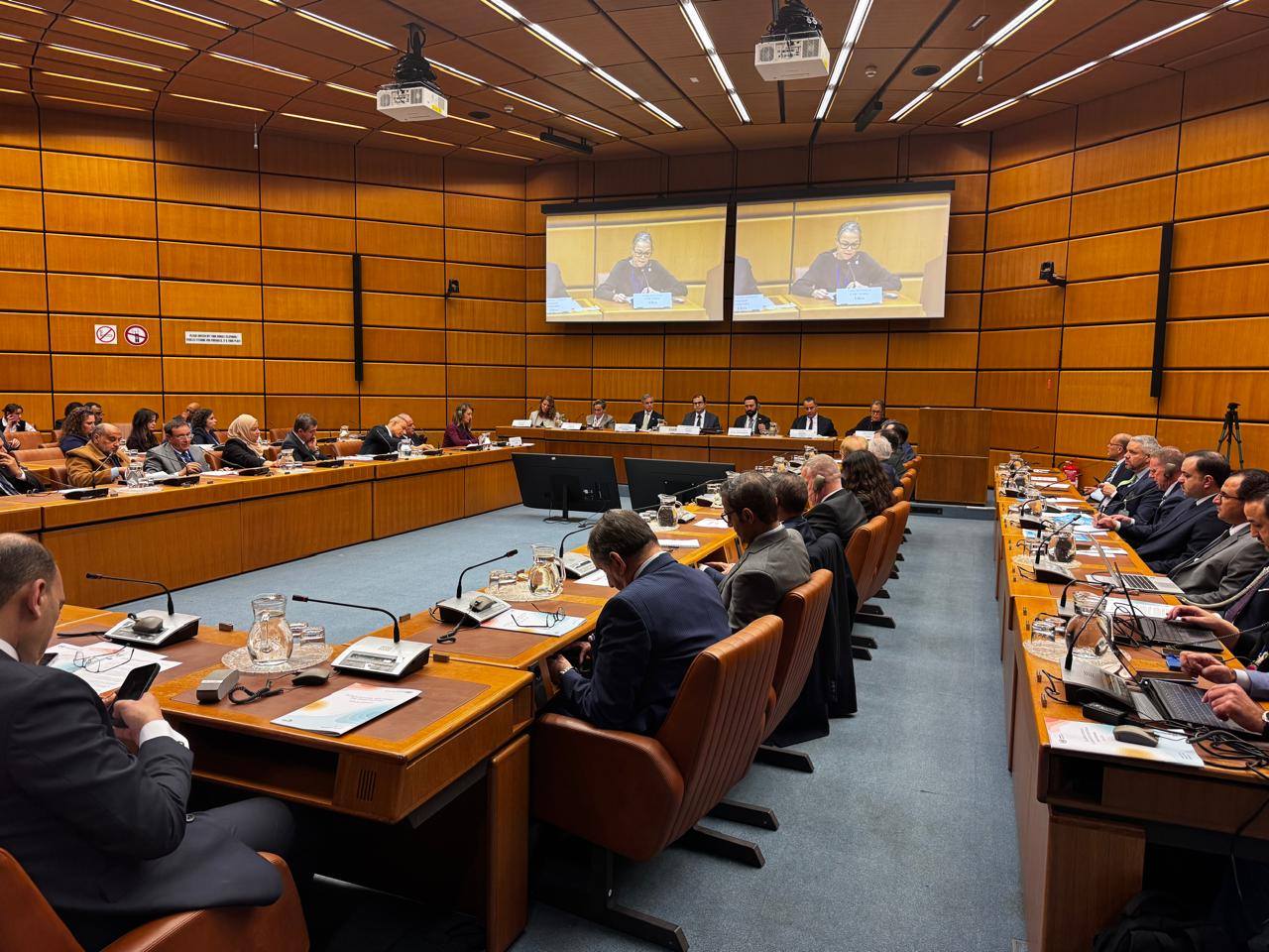 تشاردسون: الاتجار بالمخدرات لم يعد قضية جنائية محلية بل تهديد عالمي