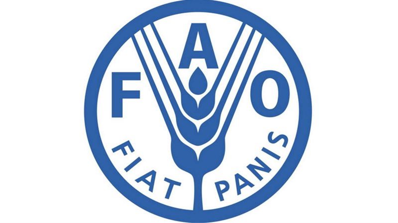 الفاو تحذر من تهديدات للأمن الغذائي العالمي بسبب تصاعد الأزمة في الشرق الأوسط