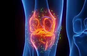 باحثون في سويسرا يبتكرون مادة مطبوعة ثلاثيًا تساعد على ترميم العظام بسرعة وكفاءة