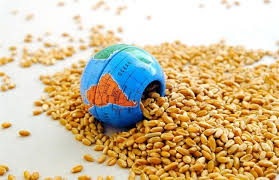 الفاو  تحذر من تداعيات أزمة مضيق هرمز وواشنطن تصعّد بإجراءات حصار بحري